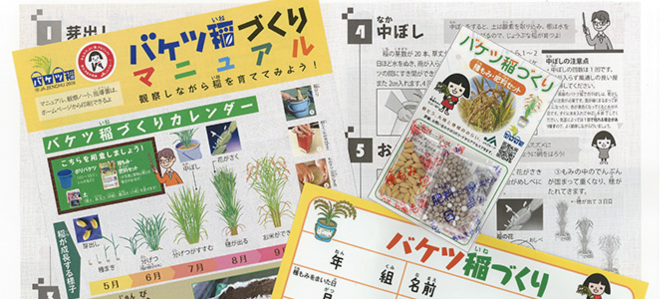 今年もきた バケツ稲の申し込みは3月8日から 最高の食育 脱サラ主夫 せーじん のハッピー子育てwith業務スーパー
